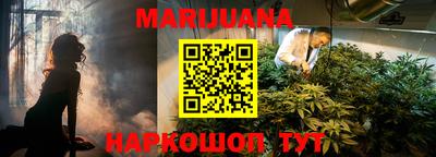 PSILOCYBIN Краснодар