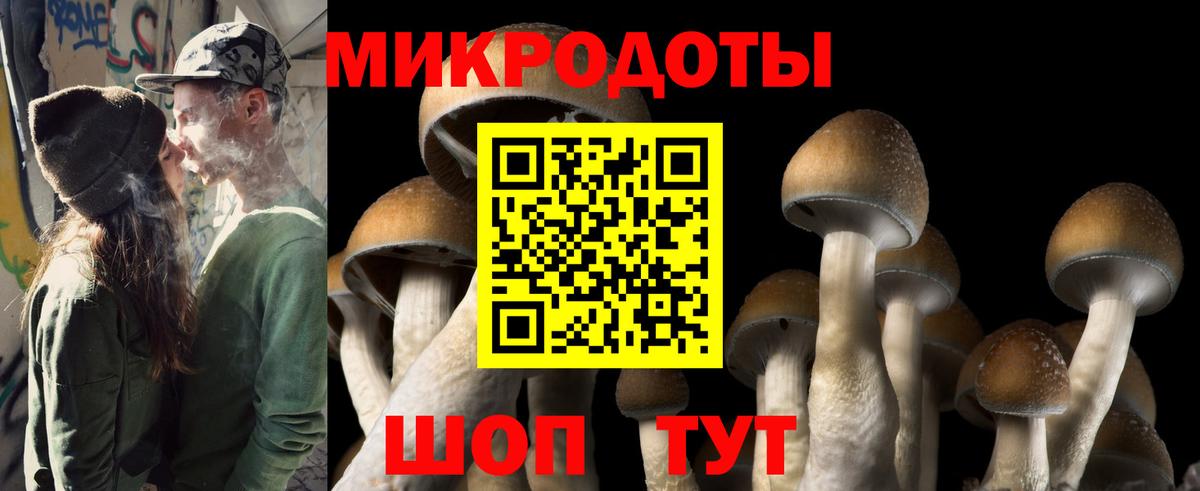 Псилоцибиновые грибы прущие грибы Клин